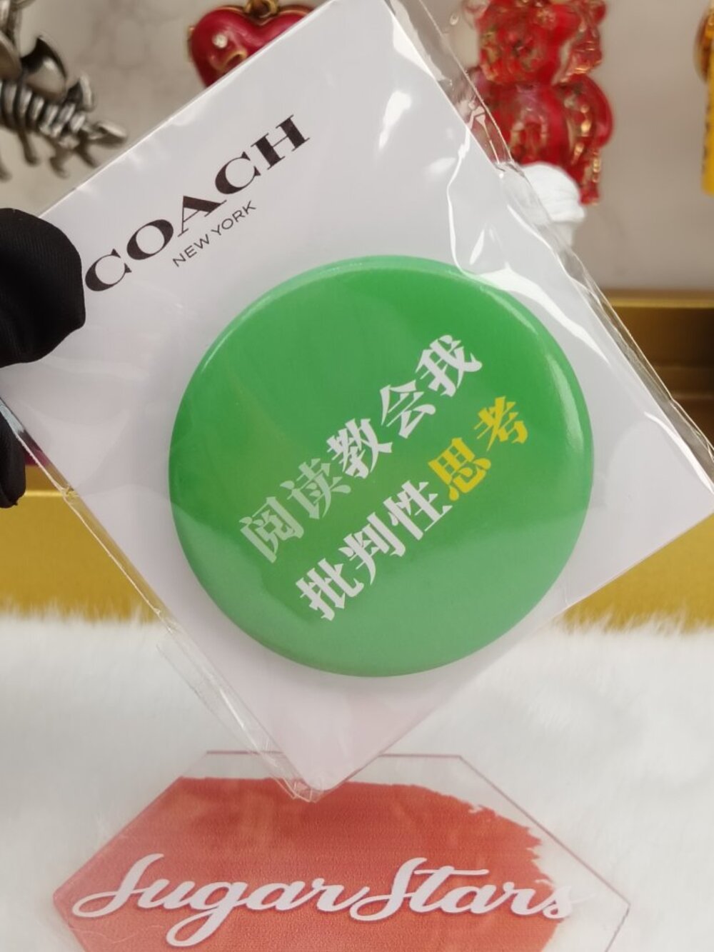 Coach brooch pin